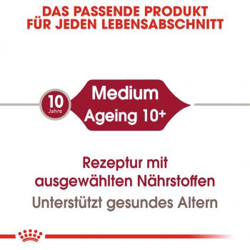 ROYAL CANIN MEDIUM Ageing 10+ Trockenfutter für ältere mittelgroße Hunde