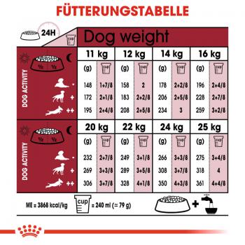 ROYAL CANIN MEDIUM Ageing 10+ Trockenfutter für ältere mittelgroße Hunde