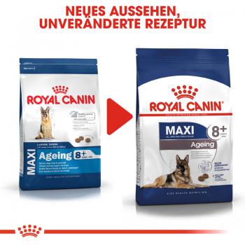 ROYAL CANIN MAXI Ageing 8+ Trockenfutter für ältere große Hunde