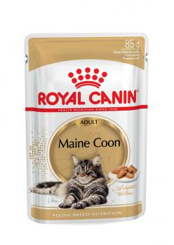 ROYAL CANIN Maine Coon Adult Katzenfutter nass