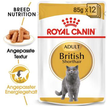 ROYAL CANIN British Shorthair Adult Katzenfutter nass für Britisch Kurzhaar