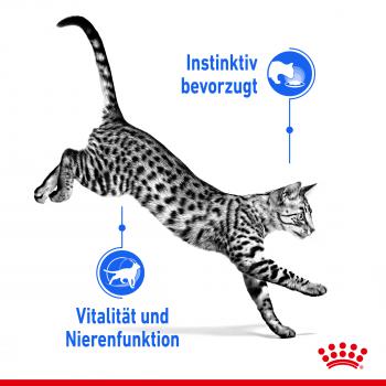 ROYAL CANIN INDOOR 7+ Sterilised in Soße