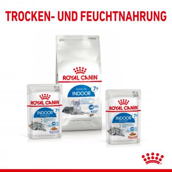 ROYAL CANIN INDOOR 7+ Sterilised in Soße