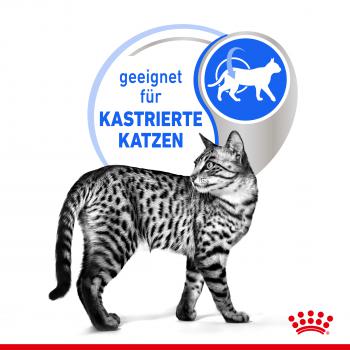 ROYAL CANIN INDOOR 7+ Sterilised in Gelee