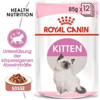 ROYAL CANIN KITTEN Nassfutter in Soße für Kätzchen