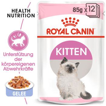 Royal Canin Kitten in Gelee