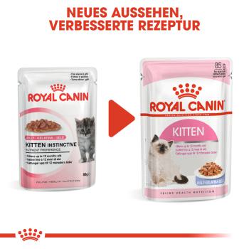 Royal Canin Kitten in Gelee