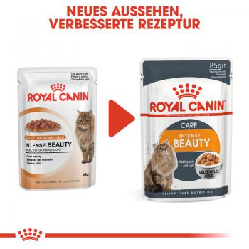 ROYAL CANIN Intense Beauty Katzenfutter nass in Gelee für schönes Fell