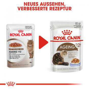 Royal Canin Ageing +12 in Gelee