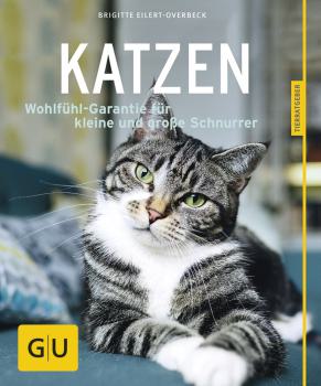 Katzen, glücklich & gesund