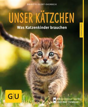 Unser Kätzchen, neugierig & verspielt