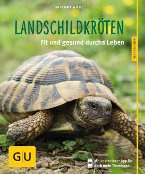 Landschildkröten, glücklich & gesund