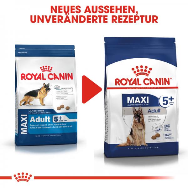 ROYAL CANIN MAXI Adult 5+ Trockenfutter für ältere große Hunde