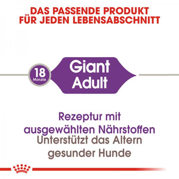 ROYAL CANIN GIANT Adult Trockenfutter für sehr große Hunde