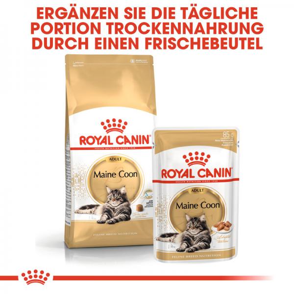 ROYAL CANIN Maine Coon Adult Katzenfutter trocken