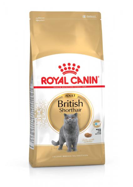 ROYAL CANIN British Shorthair Katzenfutter trocken für Britisch Kurzhaar