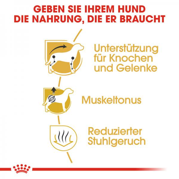 ROYAL CANIN Dachshund Adult Hundefutter trocken für Dackel