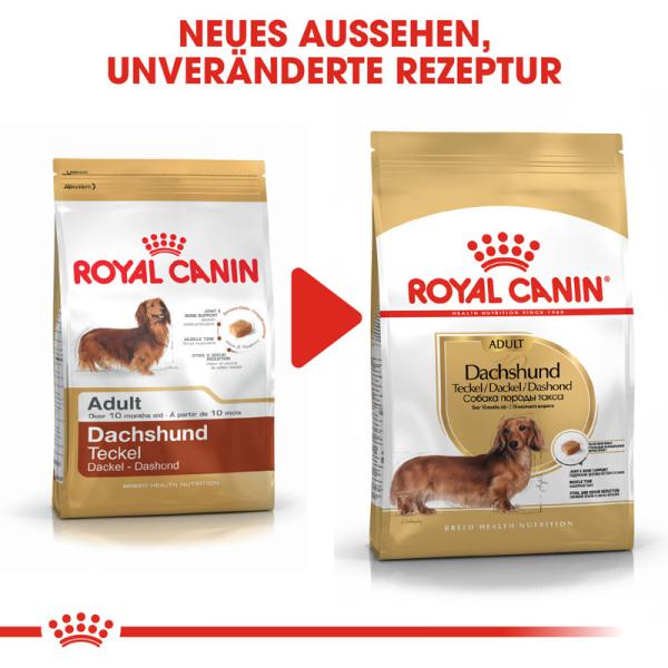 ROYAL CANIN Dachshund Adult Hundefutter trocken für Dackel