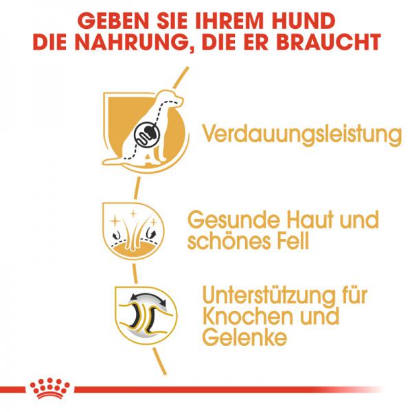 ROYAL CANIN German Shepherd Adult Hundefutter trocken für Deutsche Schäferhunde