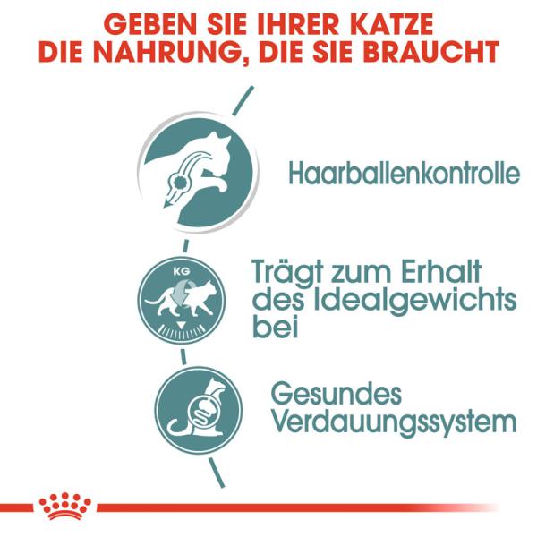 Royal Canin Hairball Care in Soße