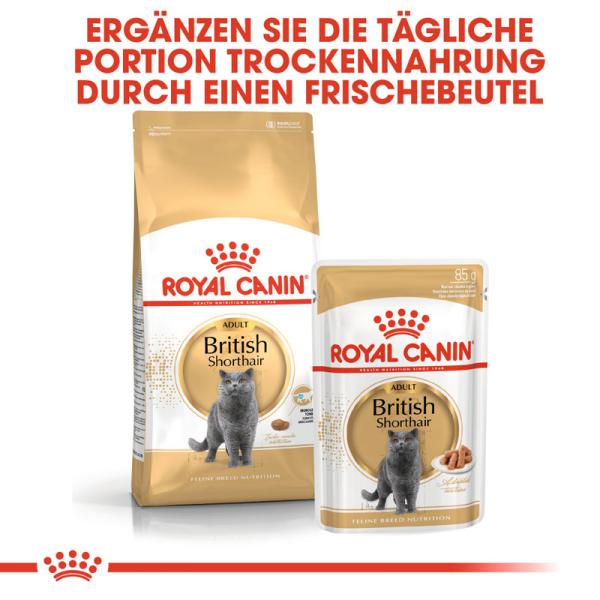 ROYAL CANIN British Shorthair Adult Katzenfutter nass für Britisch Kurzhaar