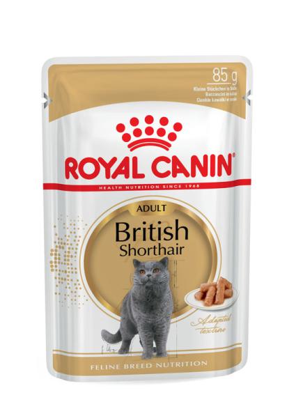 ROYAL CANIN British Shorthair Adult Katzenfutter nass für Britisch Kurzhaar