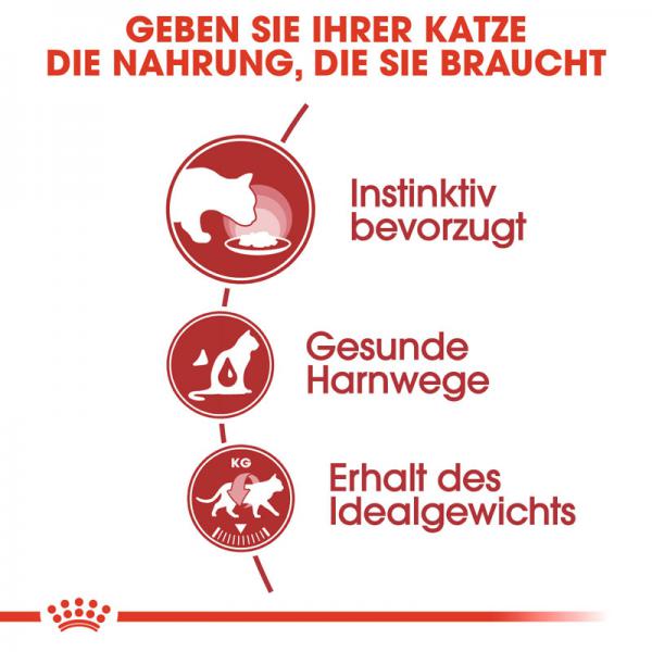 ROYAL CANIN INSTINCTIVE Katzenfutter nass in Soße