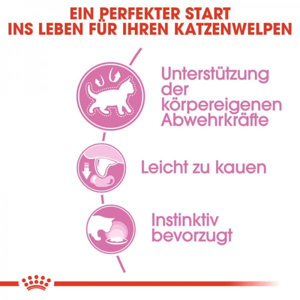 ROYAL CANIN KITTEN Nassfutter in Soße für Kätzchen