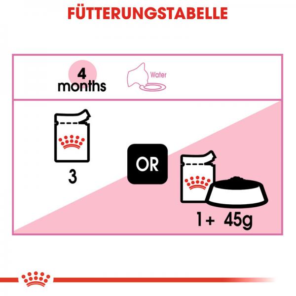 ROYAL CANIN KITTEN Nassfutter in Soße für Kätzchen