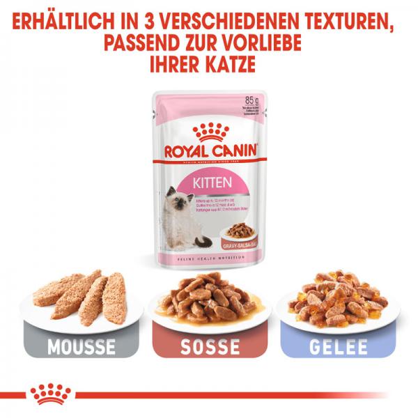 ROYAL CANIN KITTEN Nassfutter in Soße für Kätzchen