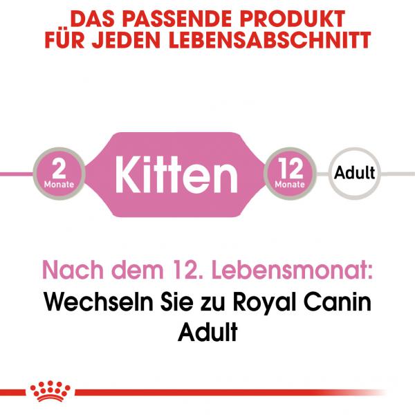 ROYAL CANIN KITTEN Nassfutter in Soße für Kätzchen