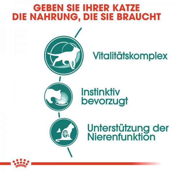 Royal Canin Instinctive +7 in Soße