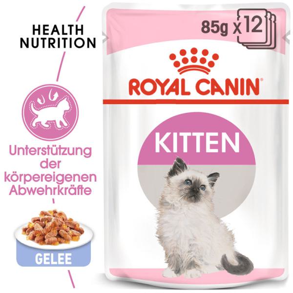 Royal Canin Kitten in Gelee