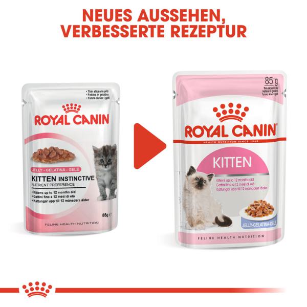 Royal Canin Kitten in Gelee