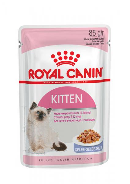 Royal Canin Kitten in Gelee