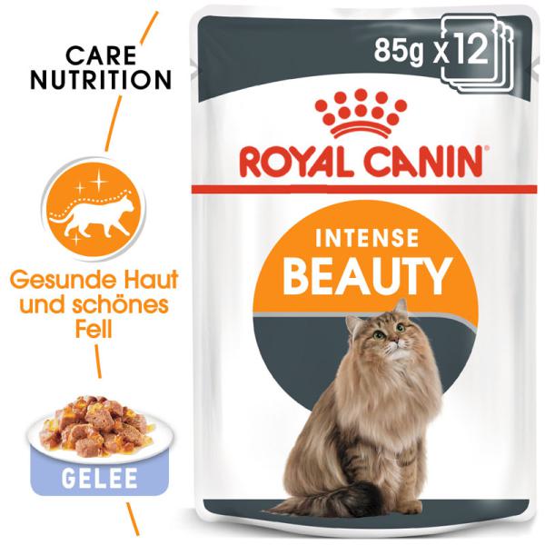 ROYAL CANIN Intense Beauty Katzenfutter nass in Gelee für schönes Fell