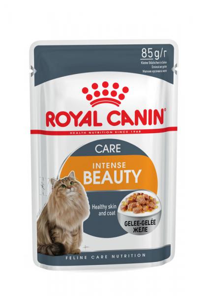 ROYAL CANIN Intense Beauty Katzenfutter nass in Gelee für schönes Fell